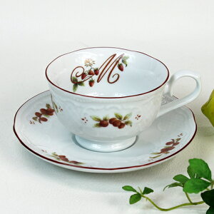 }j[RR@Jbv\[T[y[t/ʂ̂͗l/dqWEHz