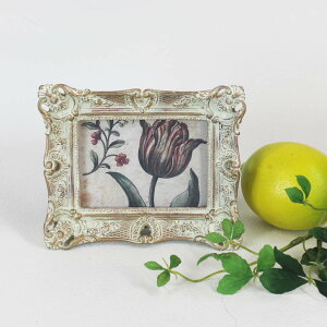 AeB[N@LIWe@N^Ot[@|Eup@12×h10.5cm@yʐ^EJ[hւ/cE/ʃX^hE݂L/uE|AcEΉ/