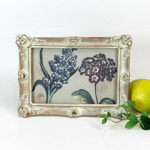 AeB[N@LIWe@N^Ot[@|Eup@18.5×h14cm@yʐ^EJ[hւ/cE/ʃX^hE݂L/uE|AcEΉ/