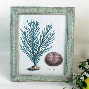 AeB[N@t[X@N^Ot[LL@|Eup@25.5×h30.5cm@yʐ^EJ[hւ/cE/ʃX^hE݂L/uE|AcEΉ/`