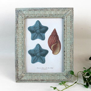 AeB[N@t[X@N^Ot[L@|Eup@18×h23cm@yʐ^EJ[hւ/cE/ʃX^hE݂L/uE|AcEΉ/`/}