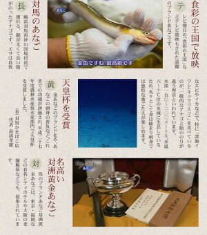 �礭�ʷ�Ҥ��դä�����̣������Ĺ�긩�������������⤢�ʤ��Υ��ʥ���200g�֥��ɷ�����Ϥ��ʤ������������⥢�ʥ��н����⤢�ʤ��Ѥ��ʤ����Ϥ��ޤܤ�Ź���ʤ�Ч���ʥ��ᤷ���򿤢�ʤ����ʤҤĤޤ֤�Ĺ��ɶʪ