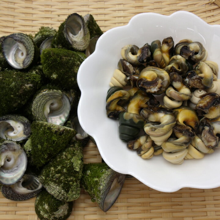Sale Off ビナ貝の塩茹で シッタカ ミナ 黒ミナ 500g 福岡県産 冷凍 クール便 Materialworldblog Com