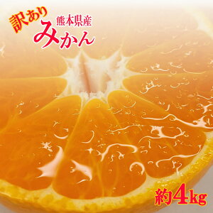 yF{Y@󂠂݂@4k@TCYsIʁz@ɑ݂@݂@F{Y@܂Ɓ@@B݂@͓@Op@F@V@Î_ς@ʕ@@ɑ@