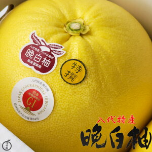 \񏳂蒆yF{@Y@ӔM@1ʓ or 2ʓzGi@3L`2LTCY@F{@@g@Y@ӔM@k@kZbg@΂؂@Εɂ߂ł