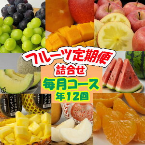 【旬の果物 フルーツ定期便 詰合せ 6〜8種 毎月コース】国内産 旬のフルーツ 詰め合わせ お歳暮 御歳暮 御中元 フルーツギフト フルーツ詰合せ 熊本 アールスメロン 柑