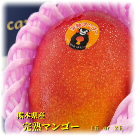 御中元おすすめ【熊本県産　完熟マンゴー　1玉入　or　2玉入　化粧箱】くまもとマンゴー　3L　2L　フルーツ詰め合わせ　詰合せ　ギフト　夏ギフト　フルーツギフト　玉名　菊池　宮崎マンゴー　父の日　御中元