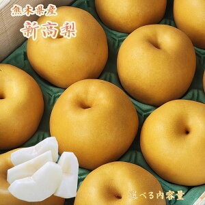 ���\�񏳂蒆�y�F�{���Y�@�V�����@�I�ׂ���e�ʁz�F�{�@����@�g��@�r���@�r�����@���X�������߁@�t���[�c�M�t�g�@�Ȃ��@���@�F�{���@�V����