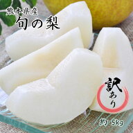 訳あり品【熊本県産　訳あり　旬の梨　約5k　6~24玉入】　熊本県産 旬の梨 梨　幸水梨　豊水梨　秋麗梨　…