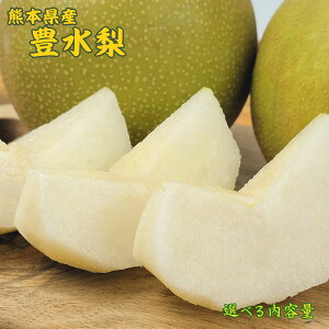 �y�F�{���Y�@�L�����@��2.5kg�`5kg�z�F�{���Y�@�L�����@�g�엜�@�r�����@�Ȃ��@�a���@��ʁ@�G�i�@�t���[�c�@�L���@�V���@�r�����@�@�H�헜�@��������