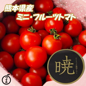 フルーツトマト ミニの人気商品 通販 価格比較 価格 Com