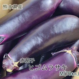 【熊本県産　赤茄子　ヒゴムラサキ　M 10本入】熊本県産の赤なすをお届けいたします。赤ナス　ひごむらさき　阿蘇なす　阿蘇ナス　阿蘇茄子　なすび　ナス　茄子　　浅漬け　焼きなす　煮びたし　送料無料　熊本野菜　お歳暮　お野菜セット