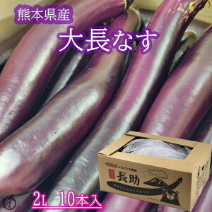 【熊本県産　大長茄子　2L　10本入】熊本県産の大長茄子をお届けいたします。大長なす　阿蘇　熊本市　なすび　大長ナス　茄子　　浅漬け　焼きなす　煮びたし　送料無料