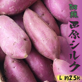 【熊本県産シルクスイート　L　2.5k　秀品】熊本県産のシルクスイートです。西原シルク　やきいも　おいも　Lサイズ　約2.5kg　高糖度　さつまいもヤキイモ　焼き芋　熊本さつまいも　お歳暮　お野菜セット
