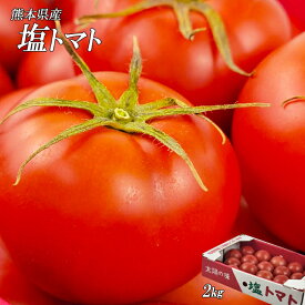 【熊本県産　塩トマト　約2k　18玉〜36玉】熊本県産の塩トマトをお届けいたします。ご家庭用　フルーツトマト　塩とまと　野菜セット　フルーツセット