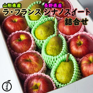 \񏳂蒆yEtX@VimXC[g@lzR`Y@EtX@쌧Y@VimXC[g@l@񂲂Ɨm@Ε@v[g@tX@t[cZbg