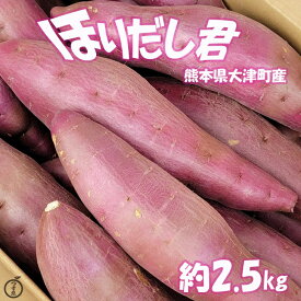 【熊本県大津町産　ほりだし君　L　約2.5k】　熊本県産さつまいも　ほりだし君をお届けいたします。JA菊池　高系14号　ほりだしくん　熊本県産　送料無料　サツマイモ　薩摩芋　さつま芋