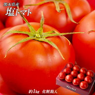 【熊本県産塩トマト　不知火夢ロマン　約1k　化粧箱入】高糖度　L〜Sサイズ八代　干拓地　トマト　フルー…