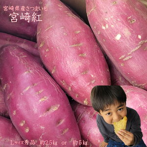 y{茧Y@܂@{g@2.5kg@or@5kgz{茧Y@܂@{g@n14@LTCY@Gi͂܂@قق̂ł@V@Ă@؃Mtg