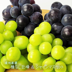 X[p[Z[20offyYnI@Ȃ􁕃VC}XJbgZbg@2p@or@4pzF{Y@Y@RY@쌧ŶԂǂ̃Zbgł@˂Ȃ@VC}XJb