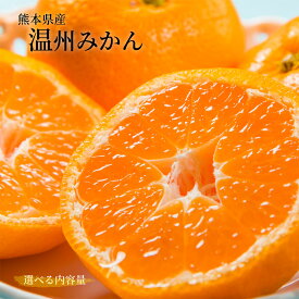 【熊本県産　温州みかん　秀品　選べる内容量】　熊本県産　秀品　温州みかん　極早生みかん、早生みかん、中生みかん、晩生みかん　河内みかん　三角みかん　配達日時指定可　みかん　熊本みかん　青島みかん　尾崎