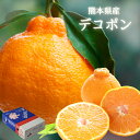 【熊本県産　デコポン　約1k or 約2k or 約3k or 約5k】熊本県産デコポン　でこぽん　不知火　みかん　JA天草本渡五和農協　JAあしきた　JAやつしろ　柑橘の王様　お歳暮　プレゼント　光センサー　フルーツ詰合せ