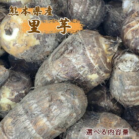 【熊本県産　里芋　2L〜Lサイズ　選べる内容量】くまもと　サトイモ　さといも　御歳暮　おせち　おせち料理　ねっとり　もっちり　送料無料