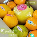 スーパーセール30～25％OFF【旬の柑橘詰合せ　4〜6種　約2k or 約4k or 7.5k】旬の柑橘を厳選してお届　温州みかん　…