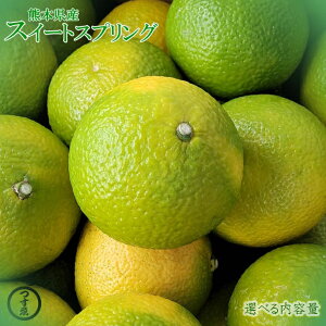 \񏳂蒆yF{Y@XC[gXvO@Iׂeʁz݂@k@_ςȌڂƂiȊÂ@kZbg@t[cZbg@Ε@F{݂@F{k@