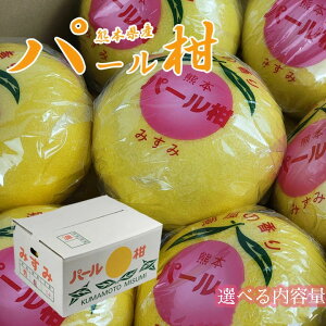 N\񏳂蒆yF{Y@p[@Gi@IׂeʁzV@Opnō͔|ꂽp[͂@p[@U@VY@OpY@t[cMtg@{̊k@F