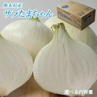 【熊本県産 サラたまちゃん 秀品　L 〜M　選べる内容量】熊本県産サラたまちゃん　サラダ玉ねぎ　新玉ね…
