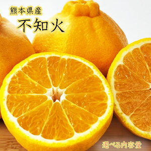 \񏳂蒆yF{Y@sm΁@ʂ@IׂeʁzN@1@܂@V@@Op@nY@fR@ʂ@t[cMtg@fR|@|J@