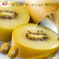 【ゼスプリ　サン・ゴールドキウイ　選べる内容量】ゴールドキウイ　秀品　キウイ　フルーツ　果物　旬の…