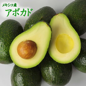 【メキシコ産　アボカド】1玉約150g　アボガド　アメリカ　ペルー　輸入　森のバター　濃厚　クリーミー　栄養　ギネスブック　送料無料　フルーツギフト　お歳暮　フルーツセット　熊本よりお届け