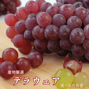 {yYnI@fEFA@Iׂeʁz{̃fEFA͂܂@F{@@啪@@Ԃǂ@@t[c@ʕ@́@䒆@YnI@t[