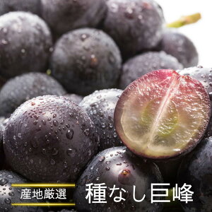 X[p[Z[10offyYnI@Ȃ@2p or 4pzȂ@@F{@@@R@RY@@Ԃǂ@@t[c@ʕ@́@䒆@YnI@t