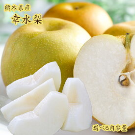 御中元・ご予約承り中【熊本県産　幸水梨　選べる内容量】くまもと　吉野　荒尾　なし　和梨　大玉　秀品　果物　くだもの　フルーツ　豊水　新高　荒尾梨　ジャンボ梨　秋の味覚　送料無料