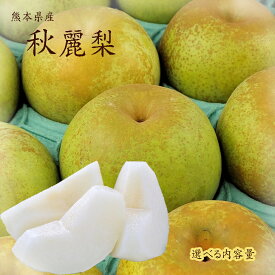 ご予約承り中【熊本県産　秋麗梨　選べる内容量】幻の梨　熊本県産秋麗梨　　吉野　荒尾　八代　熊本なし　幸水　豊水　新高　あきづき　高糖度　希少　しゅうれい　フルーツギフト　フルーツセット