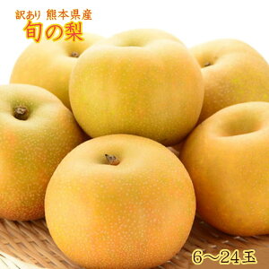 X[p[Z[10%off@󂠂iyF{Y@󂠂@{̗@5k@6~24ʓz@F{Y {̗ @K@L@H헜@Â@V@V@r@g엜@@