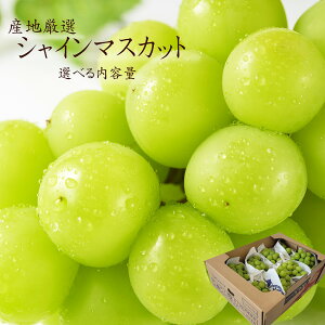 hV̓߁yYnI@VC}XJbg [@Iׂeʁz@1[@Y@啪Y@RY@RY@쌧Y@}XJbg@t[cMtg@Ԃǂ@@