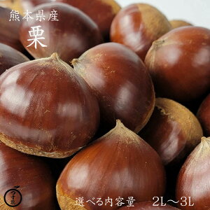 \񏳂蒆yF{Y@I@3L`2LTCY@IׂeʁzF{Y@H̖o@u@}@I͂@IƂ@ÌI@ØIρ@aρ@R@v@@t[cM