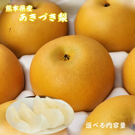 ご予約承り中【熊本県産　あきづき梨　選べる内容量】熊本県産　あきづき梨　吉野　荒尾　八代　大玉　小玉　梨　旬の味覚　送料無料　贈り物対応