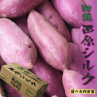 ご予約承り中【熊本県産　西原シルク　L　秀品　】熊本県産　シルクスイート　西原シルク　選べる内容量…