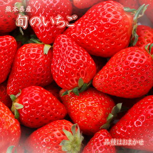 ご予約承り中【熊本県産 旬のいちご 250g×2p or 4p】 品種はおまかせ ゆうべに 恋みのり 紅ほっぺ 等 フルーツギフト 苺 いちご 送料無料 御歳暮 プレゼント 贈り物