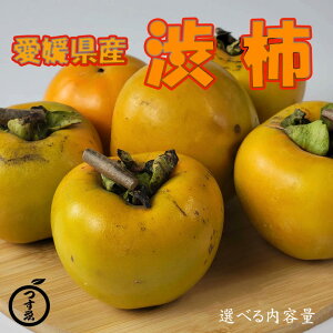 \񏳂蒆yQY@a` Iׂeʁz`@݂邵`@@@Hp@