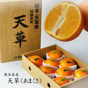 \񏳂蒆@Ε邨߁yF{Y@V(܂)@6ʁ`15ʁzF{Y̓V(܂)@12{菇@݂@IW@W[V[@ʂ݂@