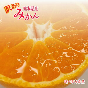 yF{Y@󂠂݂@Iׂeʁ@TCYsIʁz@ɑ݂@݂@F{Y@܂Ɓ@@B݂@͓@Op@F@V@Î_ς@ʕ@@