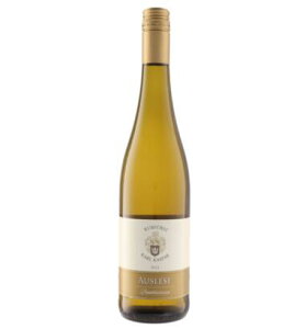 J[EJXp[ AEX[[@[2022]@750ml@yhCczyNX^[zyCz