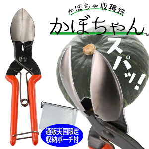 SUWADA ڂ̎ ɂɂ̍؂nT~ ڂ J{`n ʔ̓V[|[`t