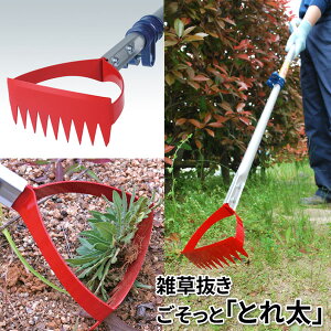 GƁuƂꑾvrbO yʃA~Lk^Cv